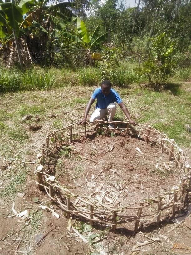 Raised bed with sticks