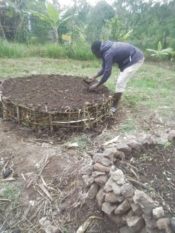 Raised bed with sticks