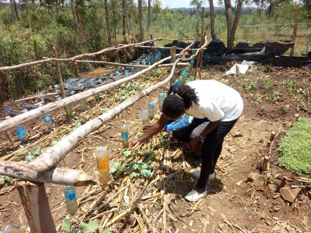 Irrigation with simple methods